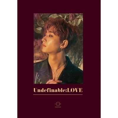HONG EUN KI 韓国 1st Mini Album「UNDEFINABLE:LOVE」抽選付き